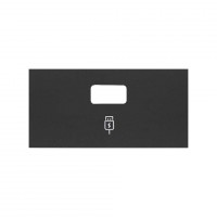 Simon 100 Черный матовый Накладка зарядного устройства USB SmartCharge 10001097-238 фото