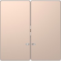 Schneider Electric Merten D-Life Шампань Клавиша 2-ая с линзой для LED модуля MTN3420-6051 фото