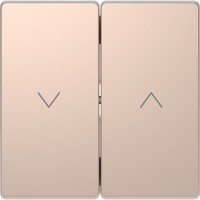 Schneider Electric Merten D-Life Шампань Клавиша-кнопка для жалюзи MTN3855-6051 фото