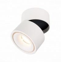 ST LUCE  ST652.532.12 Светильник потолочный Белый LED 1*12W 3000K 1 000Lm Ra>90 36о IP20 D100xH105 170-240VV ST652.532.12 фото