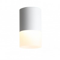ST100.502.10 Светильник потолочный Белый LED 1*10W 3000K 780Lm Ra>80 120° D78xH135 170-240V ST100.502.10 фото