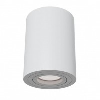 Потолочный светильник Atom GU10 1x50Вт C016CL-01W фото