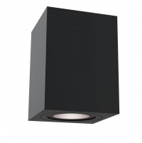 Maytoni Потолочный светильник Atom GU10 1x50Вт C017CL-01B фото