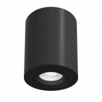 Потолочный светильник Atom GU10 1x50Вт C016CL-01B фото