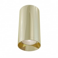 Потолочный светильник Focus GU10 1x50Вт C010CL-01G фото
