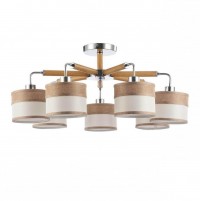 Modern Helen Хром Потолочный светильник E27 40W FR5329-PL-07-CH фото