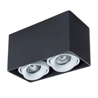 PICTOR Потолочные светильники A5654PL-2BK A5654PL-2BK фото
