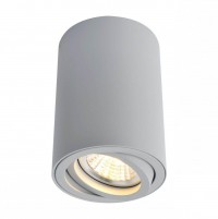 SENTRY Потолочные светильники A1560PL-1GY A1560PL-1GY фото