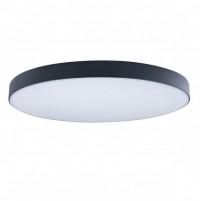 LOFT IT 10002/48 Black Светильник потолочный Axel, шт 10002/48 Black фото