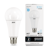 Gauss Лампа Elementary A67 30W 2390lm 6500K E27 LED 73239 фото