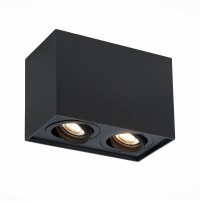 ST LUCE ST109.407.02 Светильник потолочный Матовый черный GU10 2*50W  L181xW100xH123 220V без ламп ST109.407.02 фото