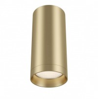Maytoni Потолочный светильник Focus GU10 1x50Вт C010CL-01MG фото
