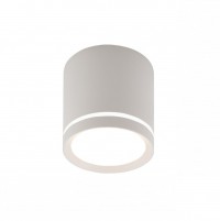 DK4013-WH Светильник накладной IP 20, 5 Вт, LED 4000, белый, алюминий/акрил DK4013-WH фото