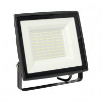 Прожектор светодиодный СДО-3006 100Вт 6500К IP65 EKF Basic FLL-3006-100-6500 фото