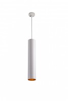 Jazzway PTR 2310 10w 3000K 30° WH 400мм на подвесе 1м IP40 .5035379 фото