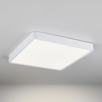 Elektrostandard DLS034 24W 4200K/ Светильник светодиодный стационарный a043018 фото