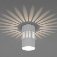 Elektrostandard DLS026 / Светильник светодиодный стационарный белый a047685 фото