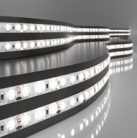 Elektrostandard 2835 12V 120Led 9,6W IP65 / Лента светодиодная 120Led 9,6W IP65 4200K дневной белый a052850 фото