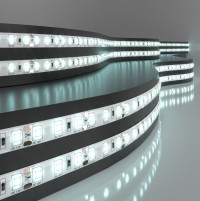 Elektrostandard 2835 12V 120Led 9,6W IP65 / Лента светодиодная 120Led 9,6W IP65 6500K холодный белый a052851 фото
