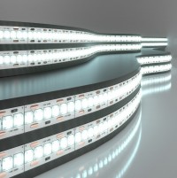 Elektrostandard 2835 12V 240Led 24W IP20 / Лента светодиодная 240Led 24W IP20 6500K холодный белый a050176 фото