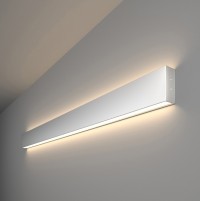 Elektrostandard 101-100-40-103 / Линейный светодиодный накладной двусторонний светильник 103см 40W 4200K матовое серебро a041469 фото