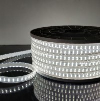 Elektrostandard LS011 220V/ Лента светодиодная Premium 220V 18W 180Led 2835 IP65, 6500K холодный белый, 50 м, двухрядная a053653 фото