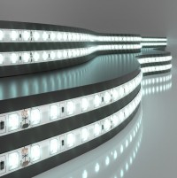 Elektrostandard 2835 24V 120Led 9,6W IP65 / Лента светодиодная 120Led 9,6W IP65 6500K холодный белый a052964 фото