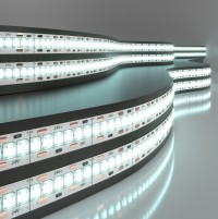 Elektrostandard 2835 24V 240Led 24W IP20 / Лента светодиодная 240Led 24W IP20 6500K холодный белый a052981 фото