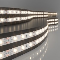 Elektrostandard 2835 24V 60Led 4,8W IP20 / Лента светодиодная 60Led 4,8W IP20 3300K тёплый белый a052953 фото