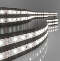 Elektrostandard 2835 24V 60Led 4,8W IP20 / Лента светодиодная 60Led 4,8W IP20 4200K дневной белый a052954 фото