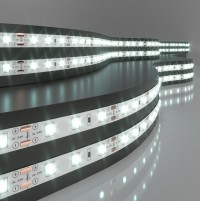 Elektrostandard 2835 24V 60Led 4,8W IP20 / Лента светодиодная 60Led 4,8W IP20 6500K холодный белый a052955 фото