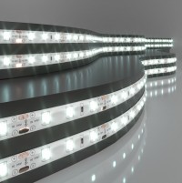 Elektrostandard 2835 24V 60Led 4,8W IP65 / Лента светодиодная 60Led 4,8W IP65 6500K холодный белый a052958 фото