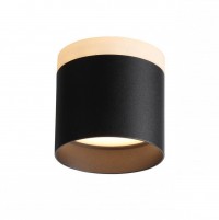 ST102.402.09 Светильник потолочный Черный LED 1*9W 3000K 702Lm Ra>80 120° IP20 D79xH75 170-240V ST102.402.09 фото