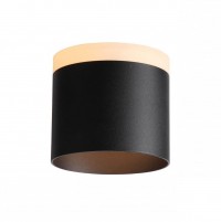 ST Luce ST102.402.12 Светильник потолочный Черный LED 1*12W 3000K 936Lm Ra>80 120° IP20 D100xH90 170-240V ST102.402.12 фото