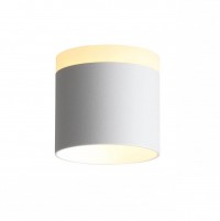 ST Luce ST102.502.09 Светильник потолочный Белый LED 1*9W 3000K 702Lm Ra>80 120° IP20 D79xH75 170-240V ST102.502.09 фото