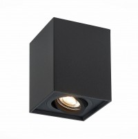 ST109.407.01 Светильник потолочный Мат. черный GU10 1*50W L100xW100xH123 220V Без ламп ST109.407.01 фото