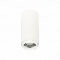 ST600.532.10 Светильник потолочный Zoom Белый LED 1*10W 3000K 1 000Lm Ra>80 15-60° IP20 D59xH130 170-240VV ST600.532.10 фото