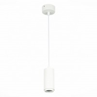ST Luce ST600.543.10 Светильник подвесной Zoom Белый LED 1*10W 4000K 1 000Lm Ra>80 15-60° IP20 D59xH130 170-240VV ST600.543.10 фото
