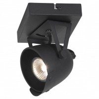Lussole LOFT Металл Черный /  Металл Светильник настенно-потолочный GU10 50W LSP-9505 фото