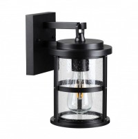 4964/1W NATURE ODL22 581 черный/стекло Ландшафтный настен.светильник E27 1*60W IP44 MAGUS 4964/1W фото