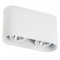 Светильник точечный накладной под заменяемые галогенные или LED лампы Rullo  214866 214866 фото