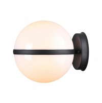 4832/1W NATURE ODL21 563 черный/акрил Ландшафтный настенный светильник E27 1*10W IP44 LOMEO LOMEO 4832/1W фото