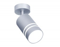 Поворотный светодиодный точечный светильник TN246 SL/S серебро/песок LED 4200K 5W D60*100 TN246 фото