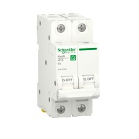 Schneider Electric RESI9 Автоматический выключатель (АВ) B 6А 2P 6000A R9F02206 фото
