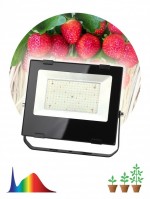 ЭРА FITO-100W-Ra90-LED ФИТО прожектор для цветения и плодоношения (10/240) Б0047876 фото
