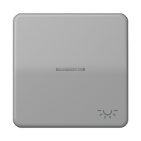 JUNG CD 500/CD plus Серая Клавиша 1-ая с/п с символом ОСВЕЩЕНИЕ CD590KO5LGR фото