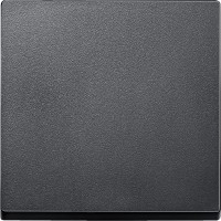 Schneider Electric Merten SM Антрацит Клавиша 1-ая MTN433114 фото