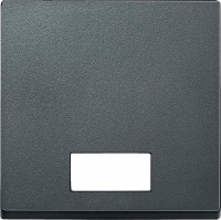 Schneider Electric Merten SM Антрацит Клавиша 1-ая с окошком, без линзы MTN433814 фото