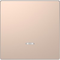 Schneider Electric Merten D-Life Шампань Клавиша 1-ая с линзой для LED модуля MTN3320-6051 фото