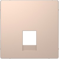 Schneider Electric Merten D-Life Шампань Накладка центральная для розетки 2-ной RJ11/RJ12 MTN4215-6051 фото